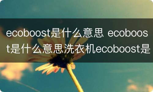 ecoboost是什么意思 ecoboost是什么意思洗衣机ecoboost是什么意思