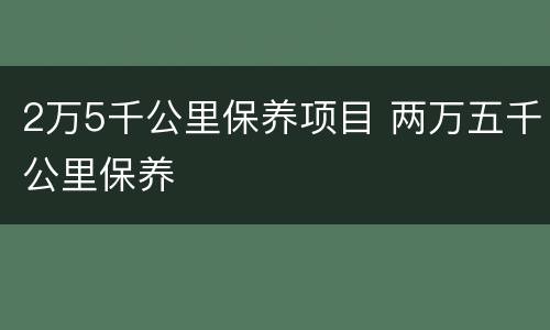 2万5千公里保养项目 两万五千公里保养