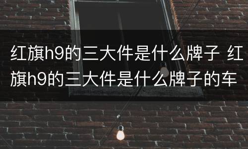 红旗h9的三大件是什么牌子 红旗h9的三大件是什么牌子的车