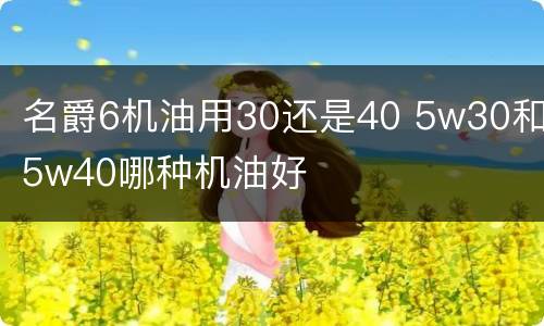 名爵6机油用30还是40 5w30和5w40哪种机油好