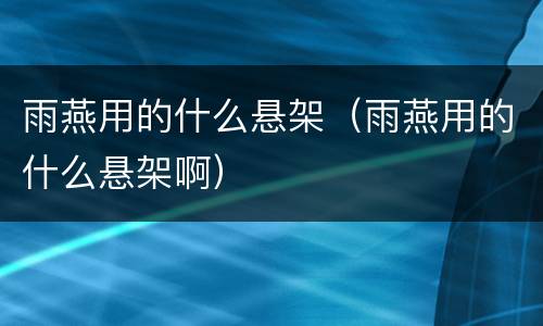 雨燕用的什么悬架（雨燕用的什么悬架啊）