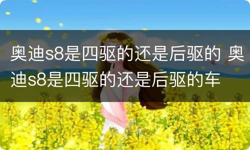 奥迪s8是四驱的还是后驱的 奥迪s8是四驱的还是后驱的车