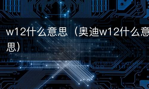 w12什么意思（奥迪w12什么意思）