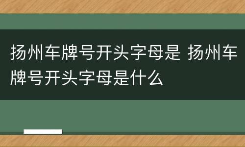 扬州车牌号开头字母是 扬州车牌号开头字母是什么