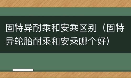 固特异耐乘和安乘区别（固特异轮胎耐乘和安乘哪个好）