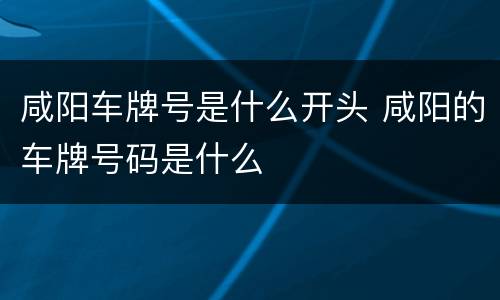 咸阳车牌号是什么开头 咸阳的车牌号码是什么