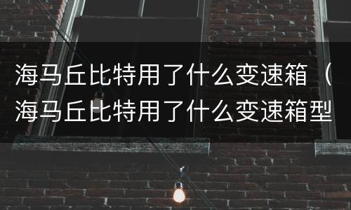 海马丘比特用了什么变速箱（海马丘比特用了什么变速箱型号）