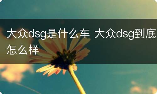 大众dsg是什么车 大众dsg到底怎么样