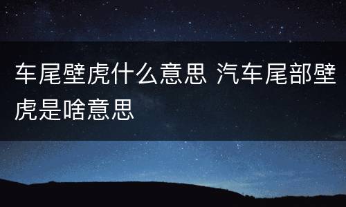 车尾壁虎什么意思 汽车尾部壁虎是啥意思