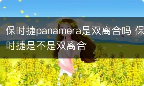 保时捷panamera是双离合吗 保时捷是不是双离合