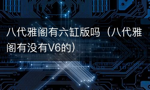 八代雅阁有六缸版吗（八代雅阁有没有V6的）