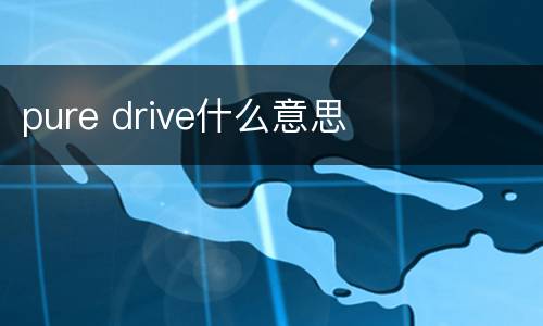 pure drive什么意思