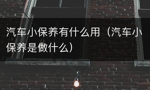 汽车小保养有什么用（汽车小保养是做什么）