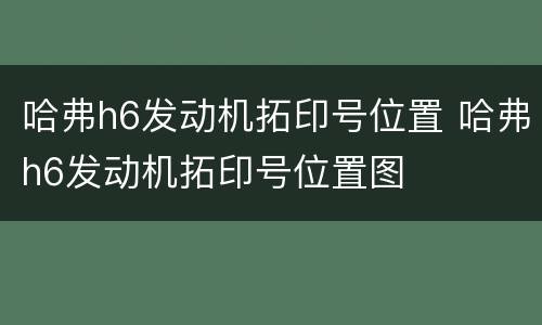 哈弗h6发动机拓印号位置 哈弗h6发动机拓印号位置图