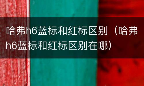 哈弗h6蓝标和红标区别（哈弗h6蓝标和红标区别在哪）