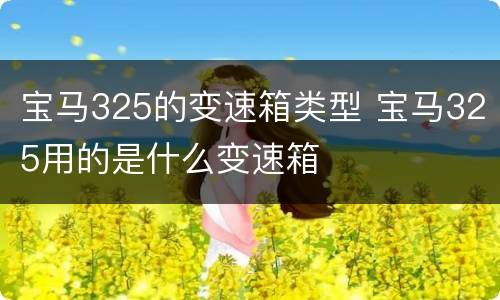 宝马325的变速箱类型 宝马325用的是什么变速箱