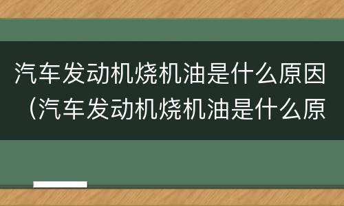 汽车发动机烧机油是什么原因（汽车发动机烧机油是什么原因引起的?）