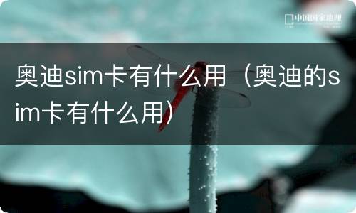 奥迪sim卡有什么用（奥迪的sim卡有什么用）