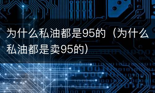 为什么私油都是95的（为什么私油都是卖95的）