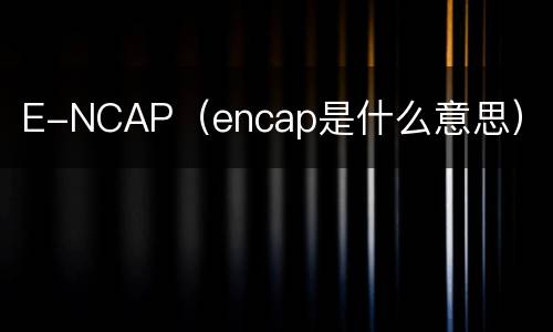 E-NCAP（encap是什么意思）