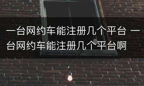 一台网约车能注册几个平台 一台网约车能注册几个平台啊