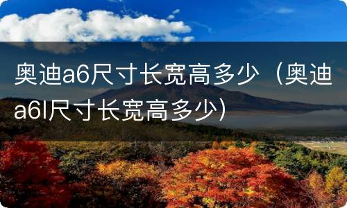 奥迪a6尺寸长宽高多少（奥迪a6l尺寸长宽高多少）