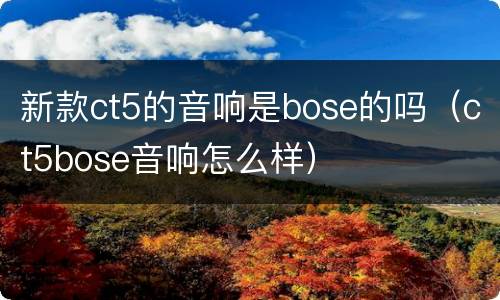 新款ct5的音响是bose的吗（ct5bose音响怎么样）