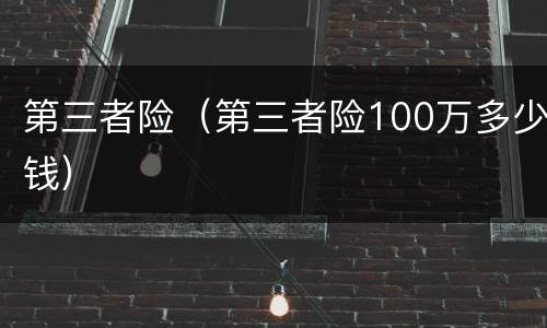 第三者险（第三者险100万多少钱）