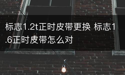 标志1.2t正时皮带更换 标志1.6正时皮带怎么对