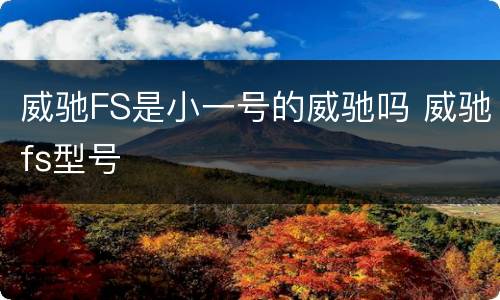 威驰FS是小一号的威驰吗 威驰fs型号