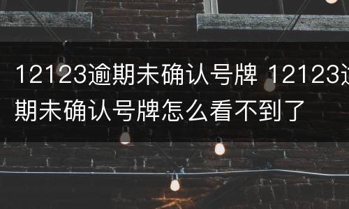 12123逾期未确认号牌 12123逾期未确认号牌怎么看不到了