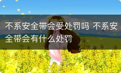 不系安全带会受处罚吗 不系安全带会有什么处罚