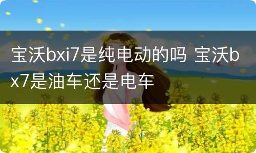 宝沃bxi7是纯电动的吗 宝沃bx7是油车还是电车