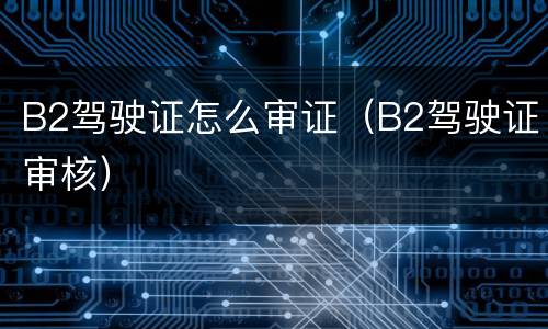 B2驾驶证怎么审证（B2驾驶证审核）