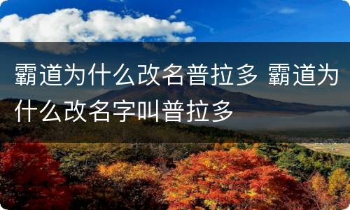 霸道为什么改名普拉多 霸道为什么改名字叫普拉多