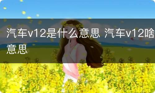 汽车v12是什么意思 汽车v12啥意思