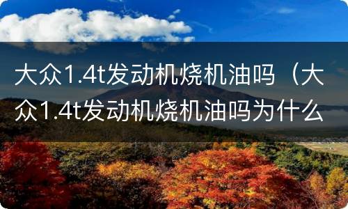 大众1.4t发动机烧机油吗（大众1.4t发动机烧机油吗为什么）