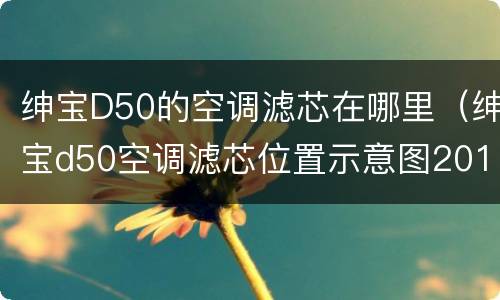 绅宝D50的空调滤芯在哪里（绅宝d50空调滤芯位置示意图2015）