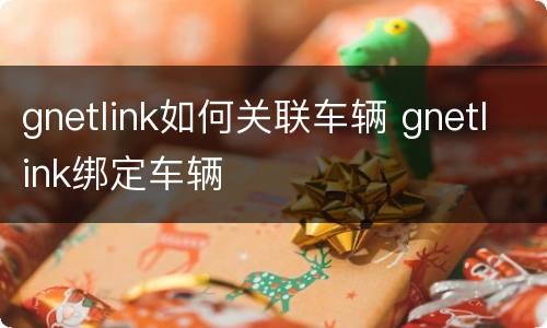 gnetlink如何关联车辆 gnetlink绑定车辆