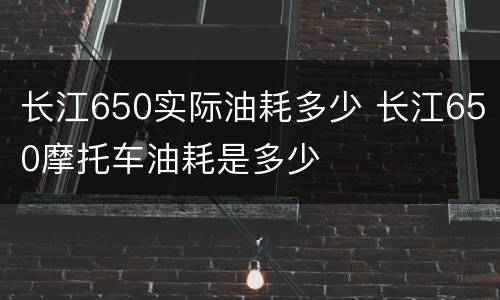 长江650实际油耗多少 长江650摩托车油耗是多少