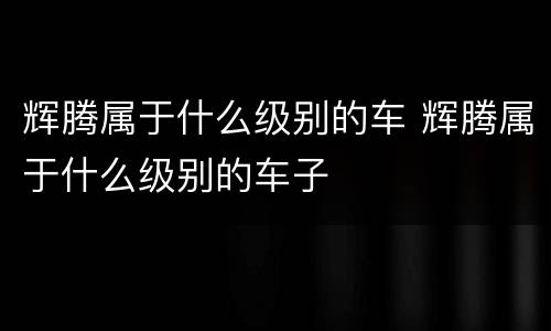 辉腾属于什么级别的车 辉腾属于什么级别的车子