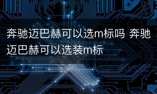 奔驰迈巴赫可以选m标吗 奔驰迈巴赫可以选装m标