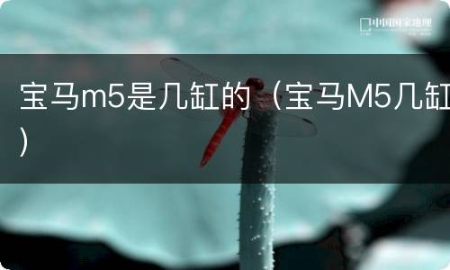 宝马m5是几缸的（宝马M5几缸）