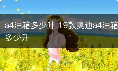 a4油箱多少升 19款奥迪a4油箱多少升