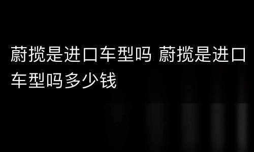 蔚揽是进口车型吗 蔚揽是进口车型吗多少钱