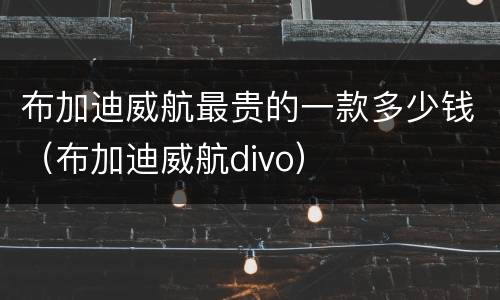 布加迪威航最贵的一款多少钱（布加迪威航divo）