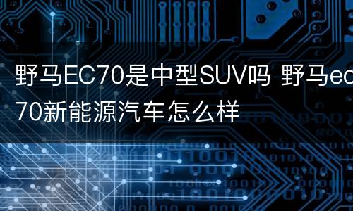 野马EC70是中型SUV吗 野马ec70新能源汽车怎么样