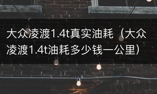 大众凌渡1.4t真实油耗（大众凌渡1.4t油耗多少钱一公里）