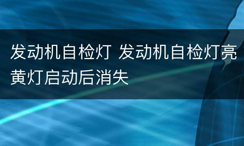 发动机自检灯 发动机自检灯亮黄灯启动后消失