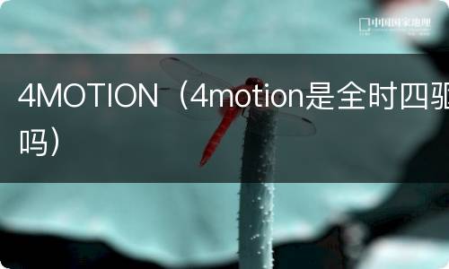 4MOTION（4motion是全时四驱吗）